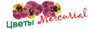 Виртуальный сад Mercurial